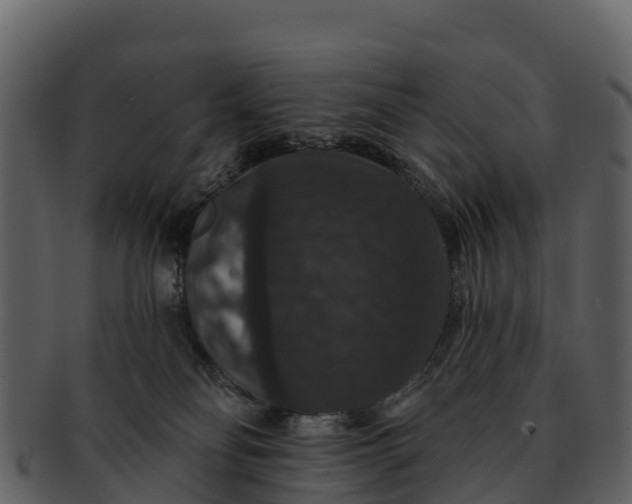 X0000092320134200710051303