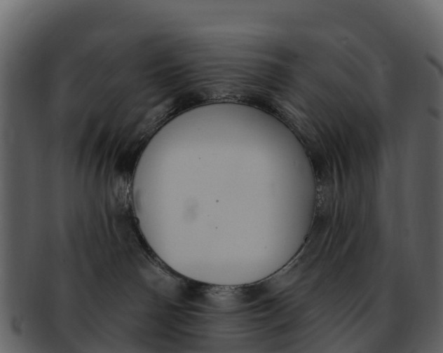 X0000092320142200710051303