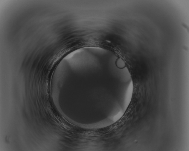 X0000092320146200710051303