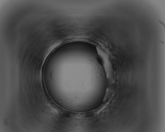 X0000092320148200710051303