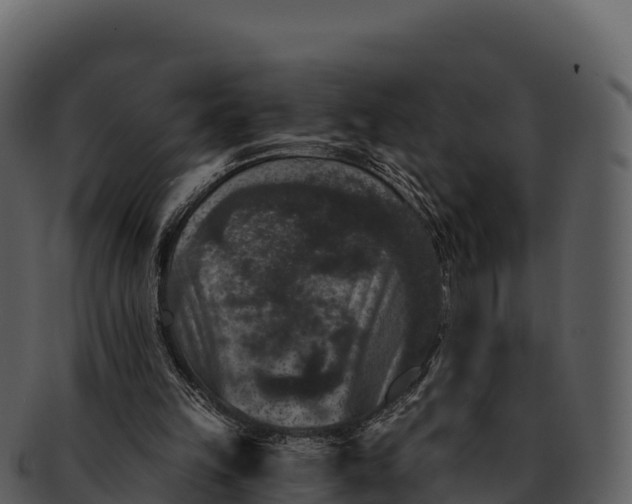 X0000092320149200710051303