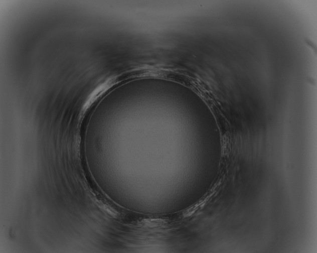 X0000092320150200710051303