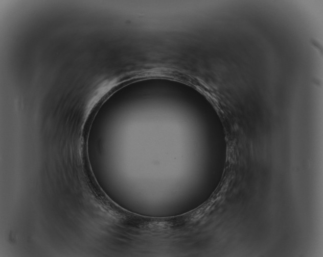 X0000092320152200710051303