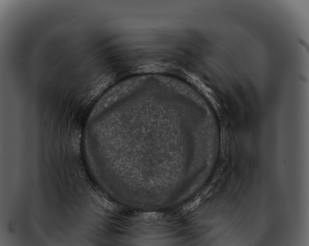 X0000092320153200710051303