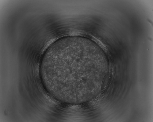 X0000092320155200710051303