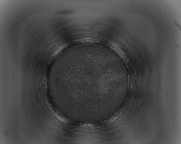 X0000092320157200710051303