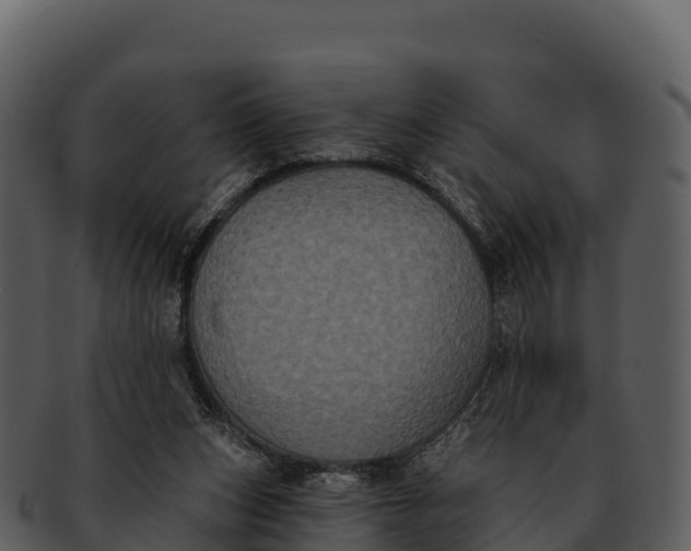 X0000092320159200710051303