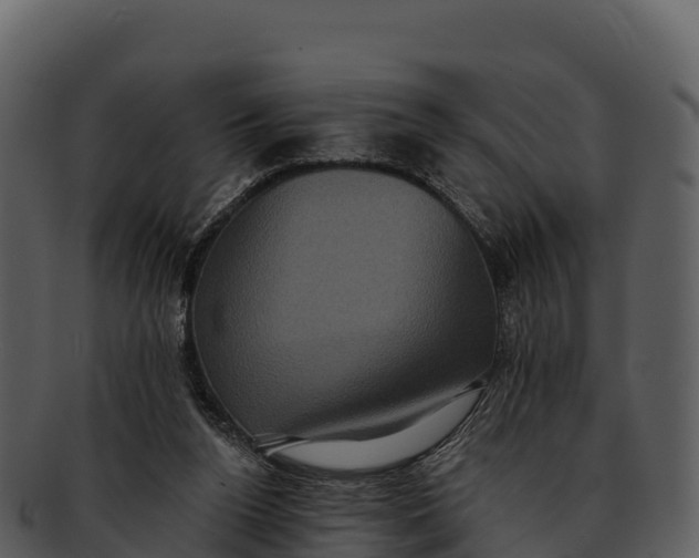 X0000092320160200710051303
