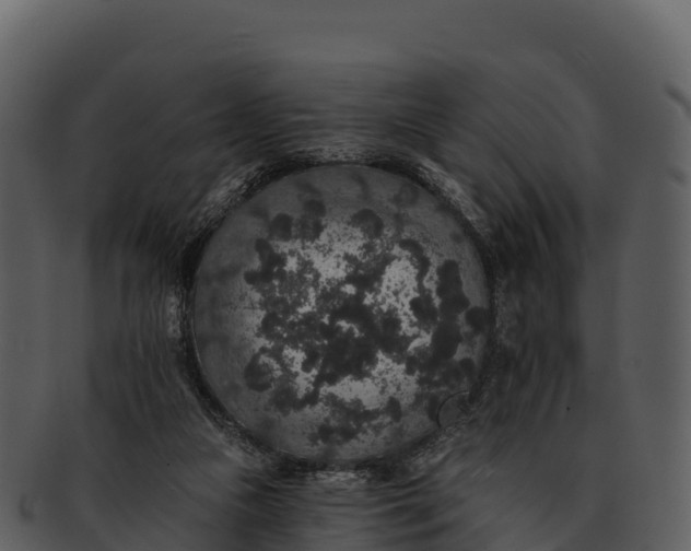 X0000092320161200710051303