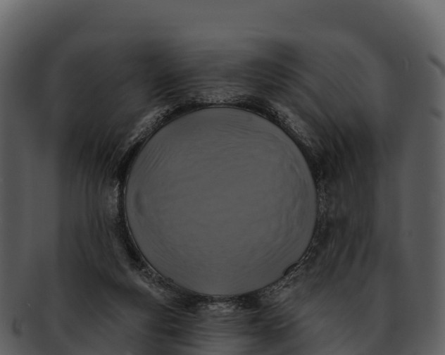 X0000092320163200710051303
