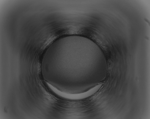 X0000092320164200710051303