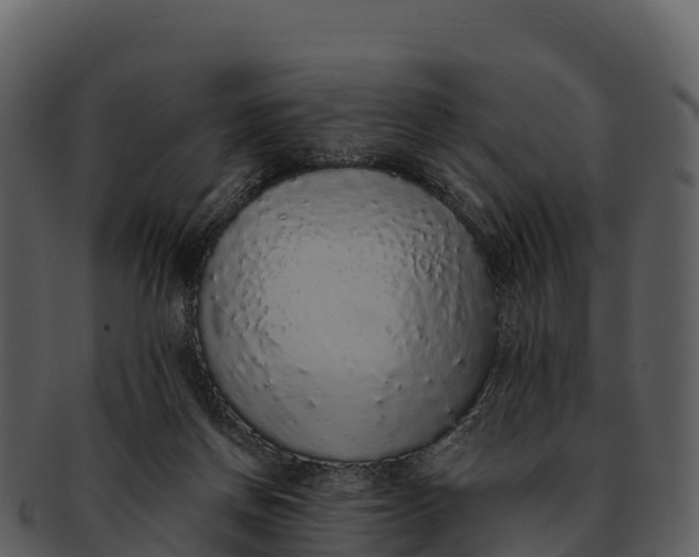 X0000092320166200710051303