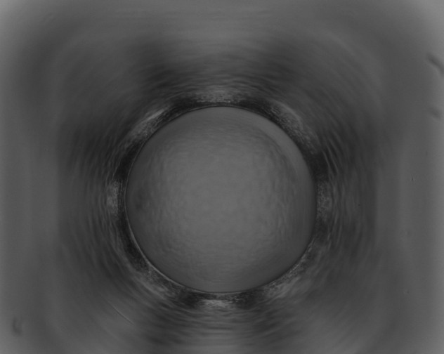 X0000092320167200710051303
