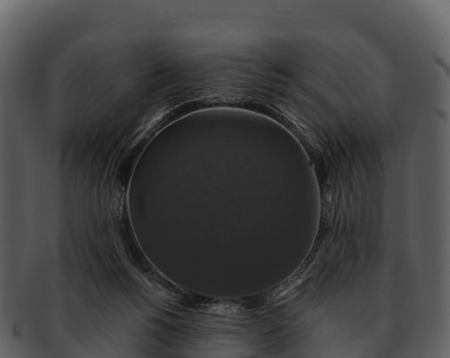 X0000092320168200710051303