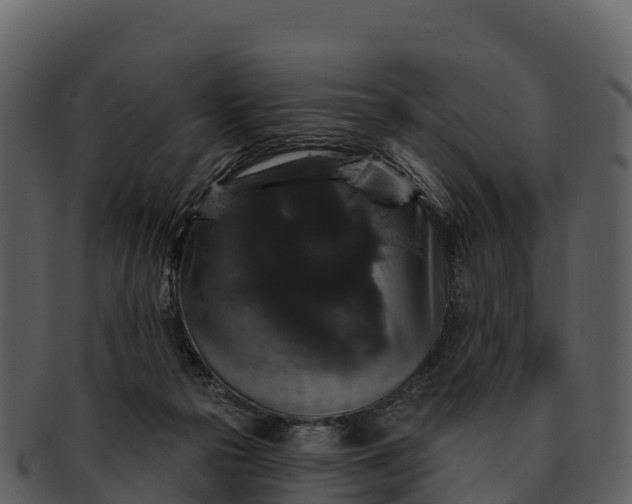 X0000092320169200710051303