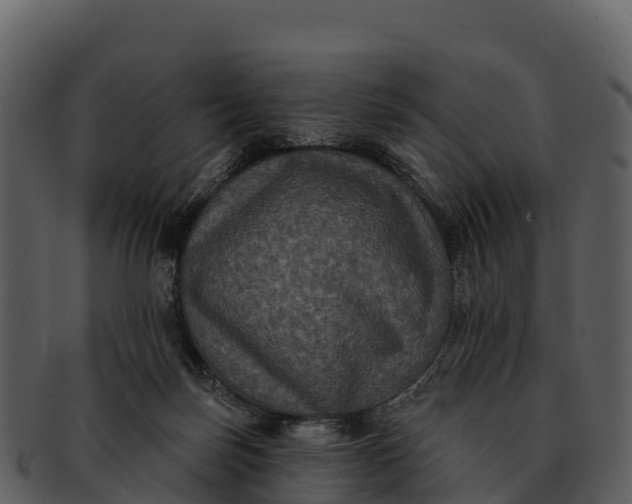 X0000092320171200710051303