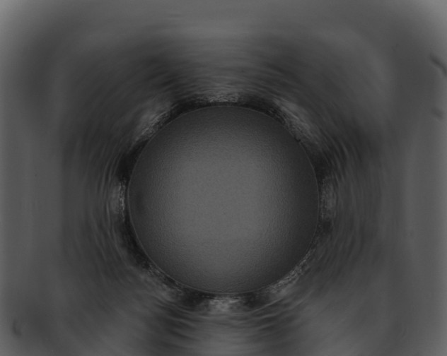 X0000092320172200710051303
