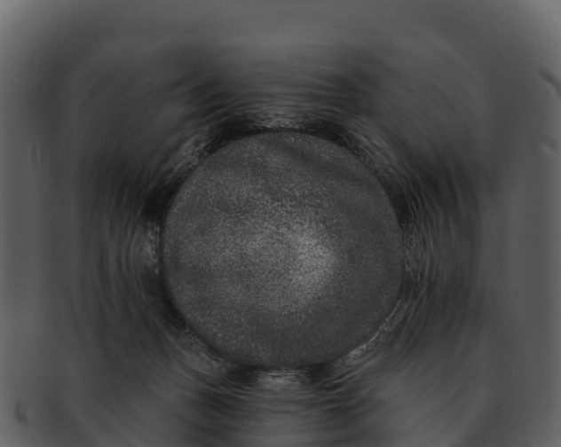 X0000092320175200710051303