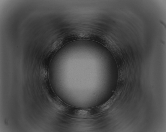 X0000092320176200710051303