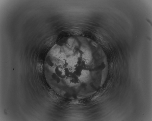X0000092320177200710051303