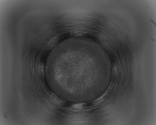 X0000092320178200710051303