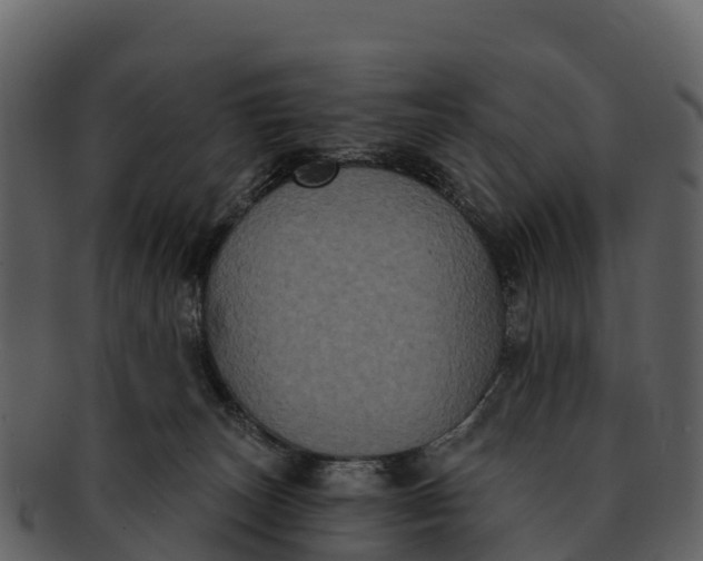 X0000092320179200710051303