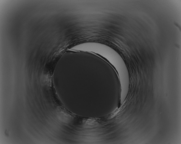 X0000092320180200710051303