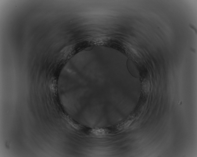 X0000092320181200710051303