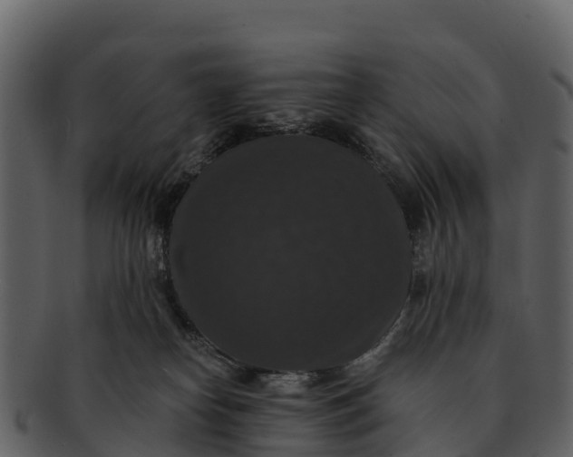 X0000092320182200710051303