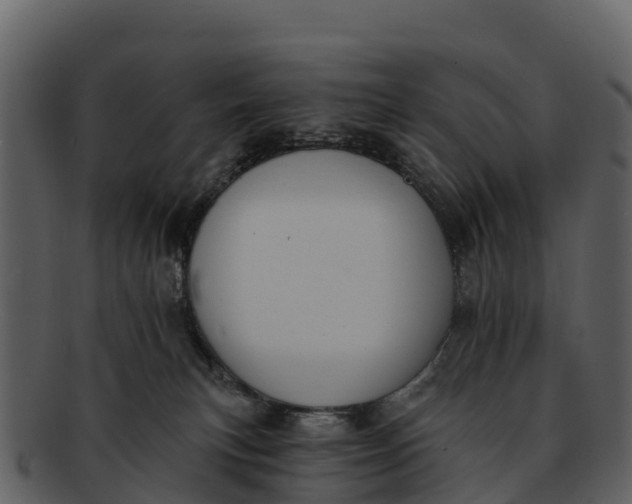 X0000092320183200710051303