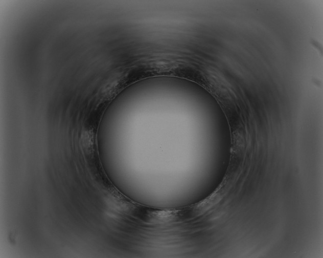 X0000092320184200710051303