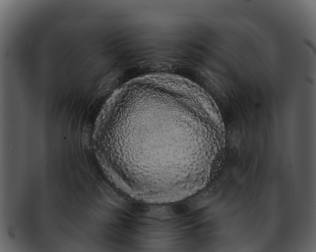 X0000092320185200710051303