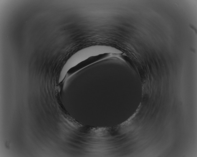 X0000092320186200710051303