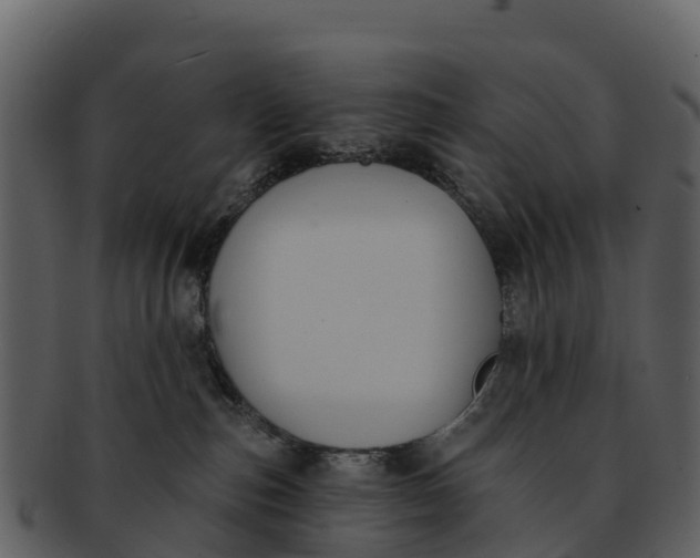 X0000092320187200710051303