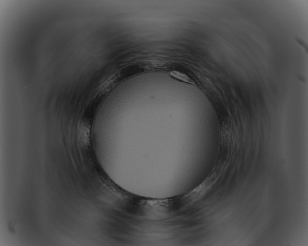X0000092320188200710051303