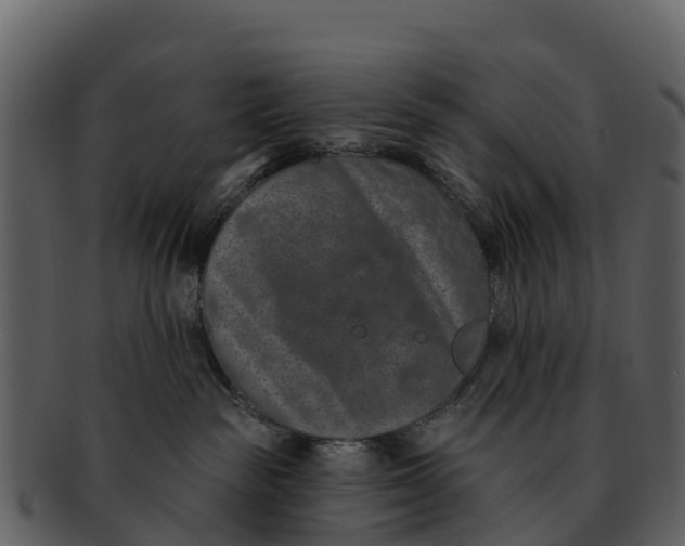 X0000092320189200710051303