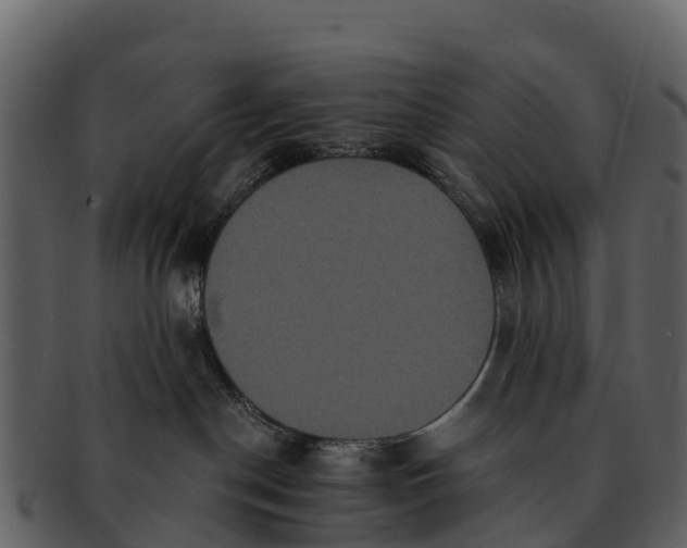 X0000092320190200710051303