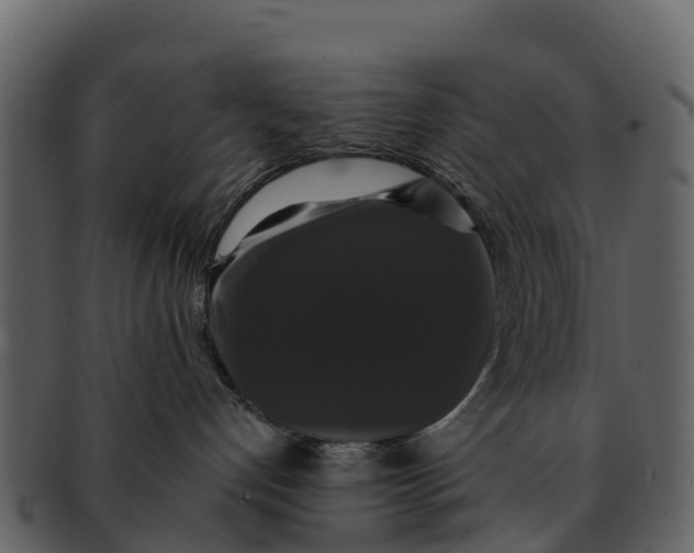 X0000092320192200710051303