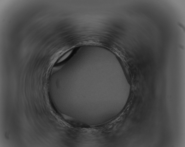 X0000092320193200710051303