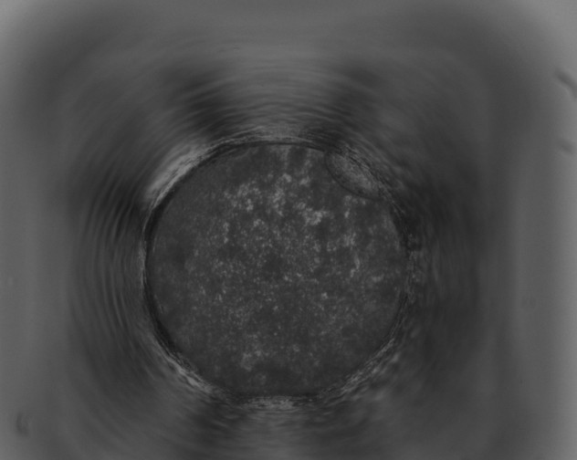 X0000092320194200710051303