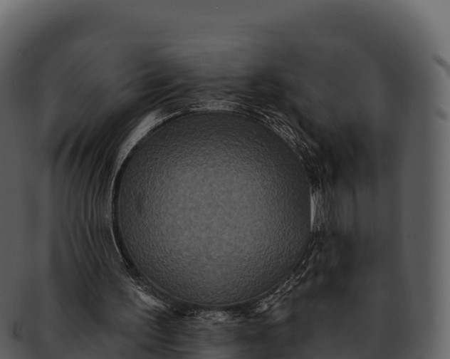 X0000092320195200710051303