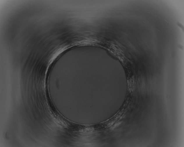 X0000092320196200710051303