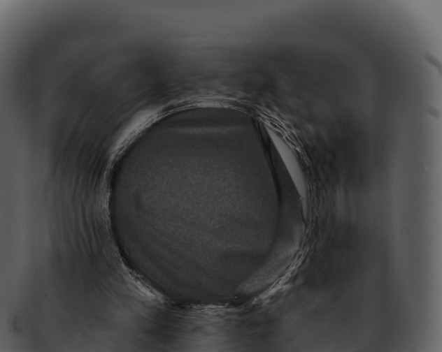 X0000092320197200710051303