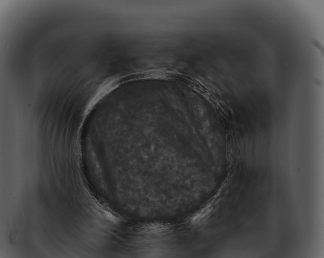 X0000092320198200710051303