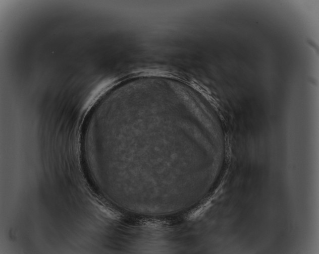 X0000092320199200710051303