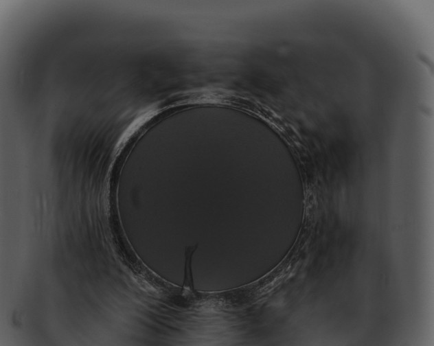 X0000092320200200710051303