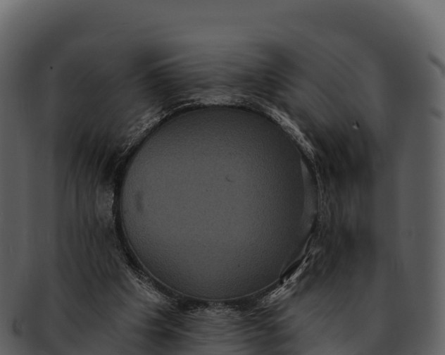 X0000092320201200710051303