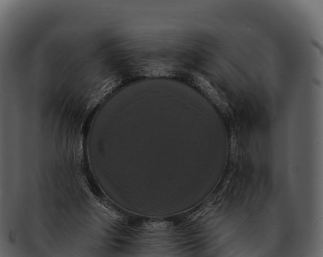 X0000092320202200710051303