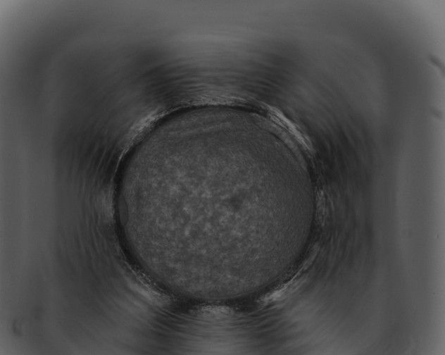 X0000092320203200710051303
