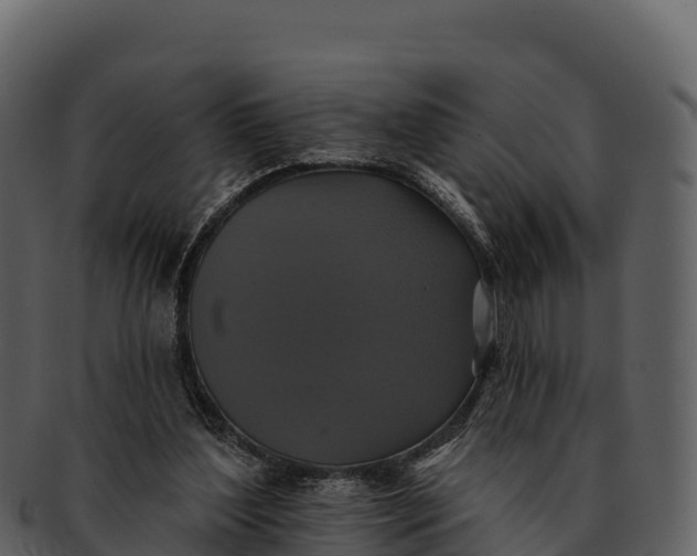 X0000092320204200710051303